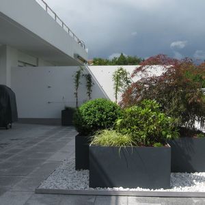 Gebaeudebegruenung_GartenKultur_Daniel_Ruprecht_AG_Dachterasse_02.jpg